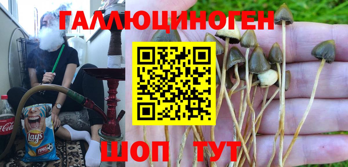 Псилоцибиновые грибы мицелий  Псилоцибиновые грибы ЛСД  Вход с VPN  Воронеж 