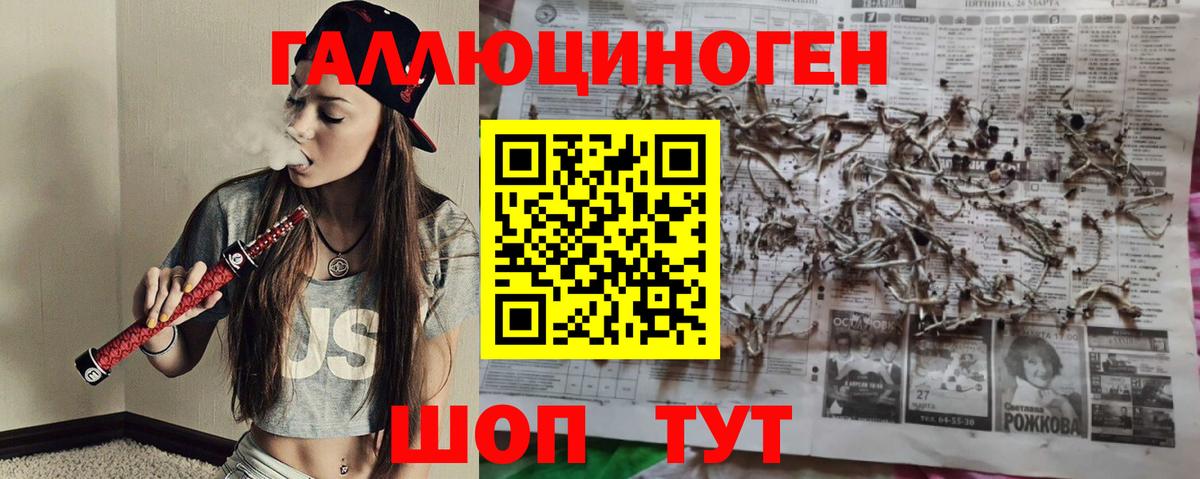 Псилоцибиновые грибы мицелий Воронеж